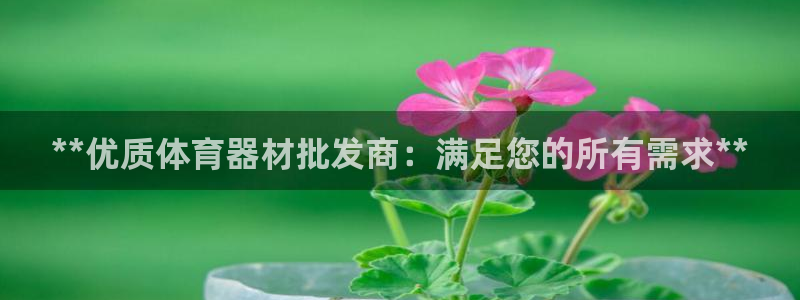 尊龙凯时合法吗?：**优质体育器材批发商：满足您的所