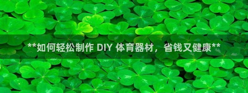 尊龙多少岁：**如何轻松制作 DIY 体育器材，省钱