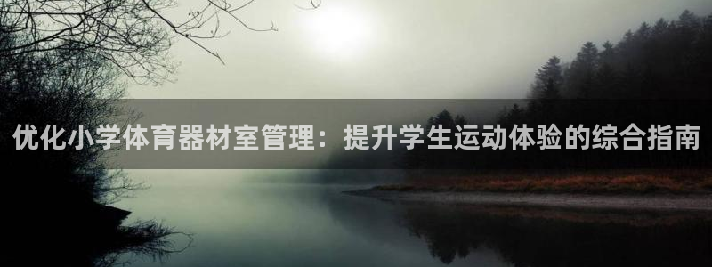 尊龙登录：优化小学体育器材室管理：提升学生运动体验的