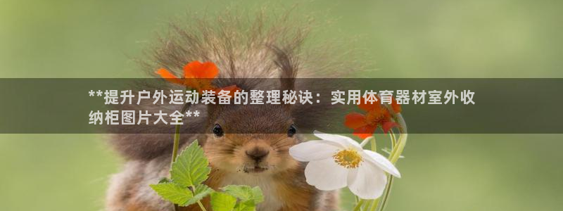 d88尊龙凯时：**提升户外运动装备的整理秘诀：实用