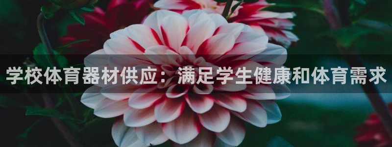 尊龙传奇英文怎么写：学校体育器材供应：满足学生健康和
