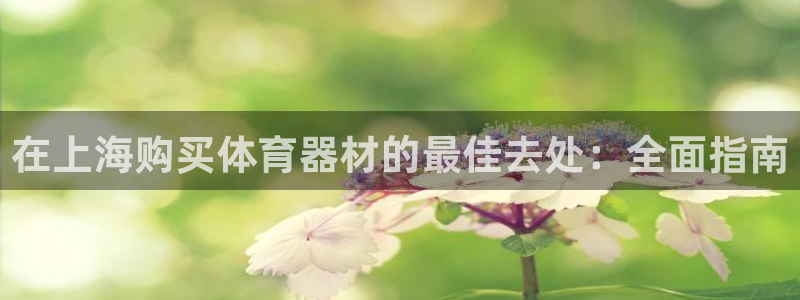 凯时a88：在上海购买体育器材的最佳去处：全面指南