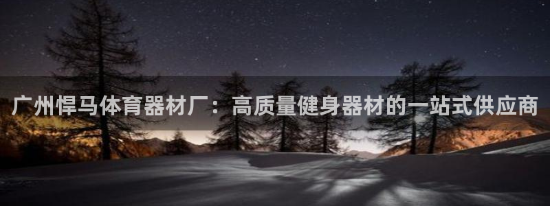 尊龙凯时链接：广州悍马体育器材厂：高质量健身器材的一