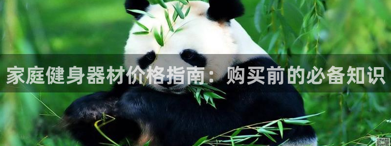 尊龙凯时logo：家庭健身器材价格指南：购买前的必备