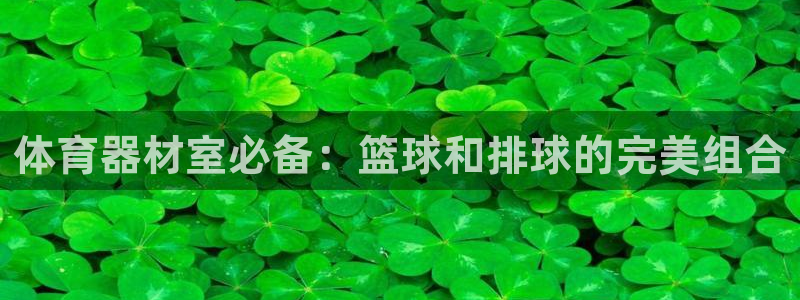尊龙人生就是博管网：体育器材室必备：篮球和排球的完美