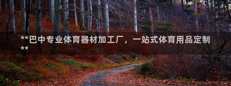 尊龙人生就是博登录网址下载：**巴中专业体育器材加工