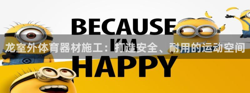 尊龙人生就是博电脑版：龙室外体育器材施工：打造安全、