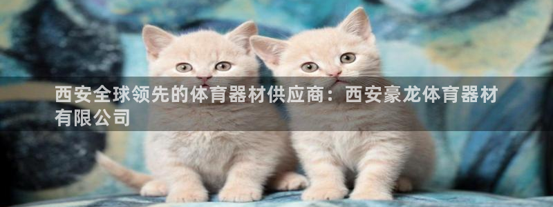 尊龙D88现金旧版：西安全球领先的体育器材供应商：西