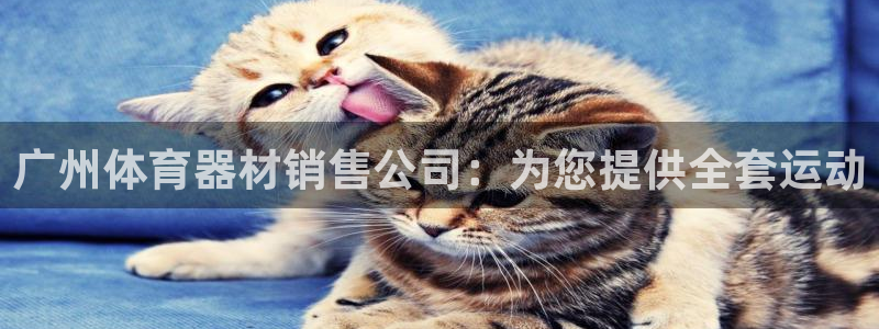 z6com尊龙凯时百家乐下载：广州体育器材销售公司：
