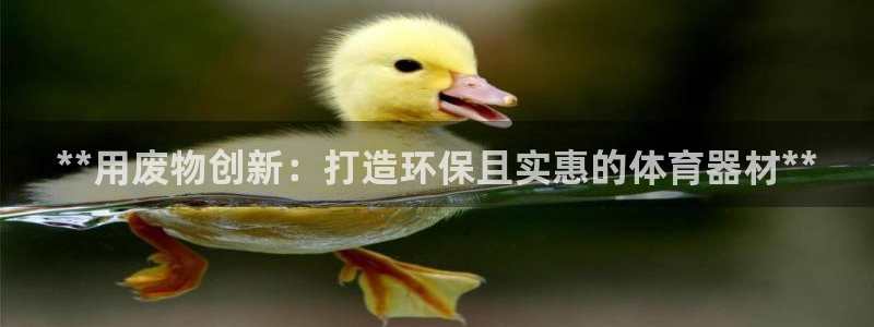 凯时官网的售后服务：**用废物创新：打造环保且实惠的