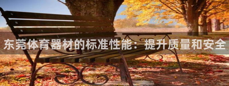 尊龙旗舰app：东莞体育器材的标准性能：提升质量和安