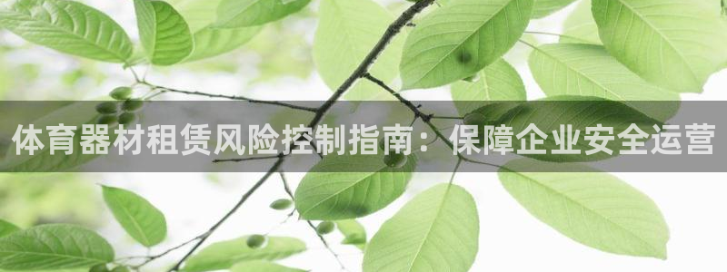 尊龙app登录不了：体育器材租赁风险控制指南：保障企