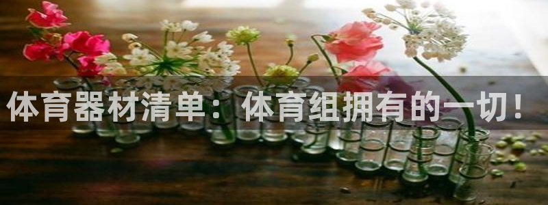 尊龙凯时 - 人生就是搏!：体育器材清单：体育组拥有