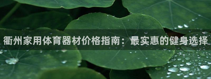 ag尊龙官方网站app：衢州家用体育器材价格指南：最