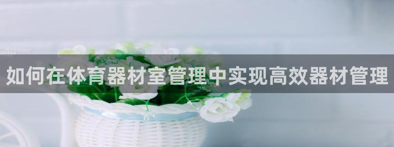 尊龙凯时老板：如何在体育器材室管理中实现高效器材管理