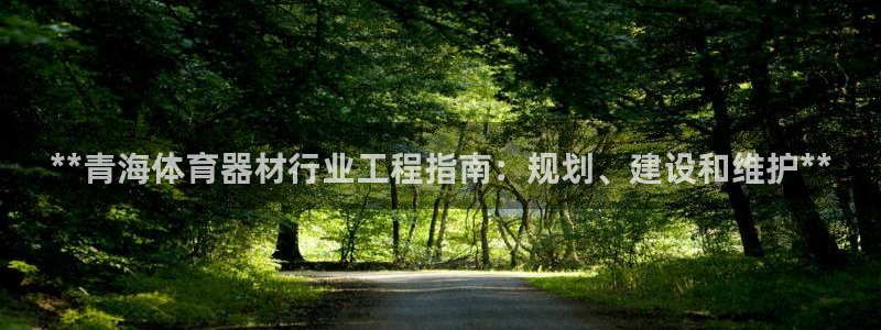 尊龙app怎么样：**青海体育器材行业工程指南：规划
