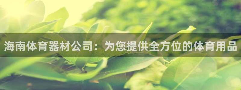 尊龙凯时这个平台怎么样：海南体育器材公司：为您提供全