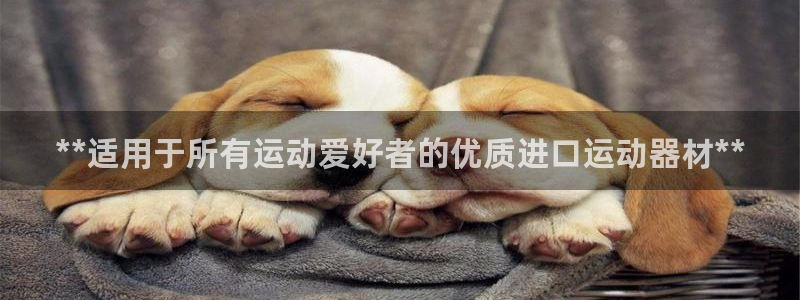 尊龙目前照片：**适用于所有运动爱好者的优质进口运动