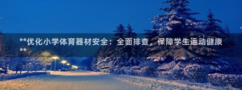 尊龙这个平台怎么样：**优化小学体育器材安全：全面排