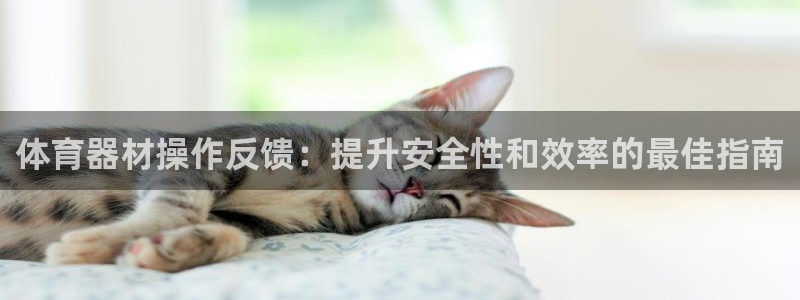 尊龙凯时合法吗?：体育器材操作反馈：提升安全性和效率