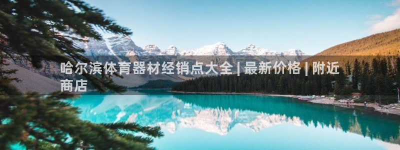 尊龙d88官网登录：哈尔滨体育器材经销点大全 | 最
