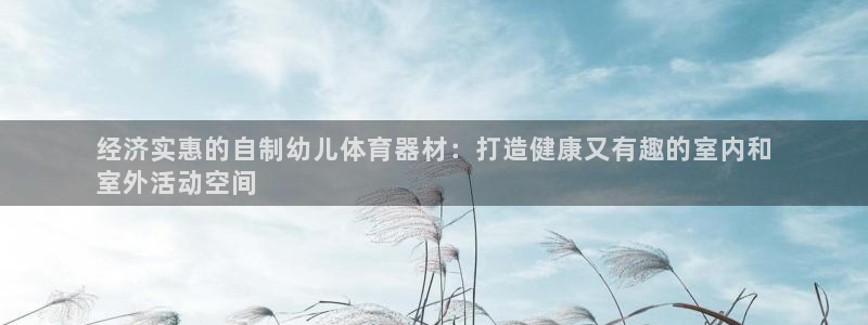 尊龙凯时法充十万返现多少：经济实惠的自制幼儿体育器材