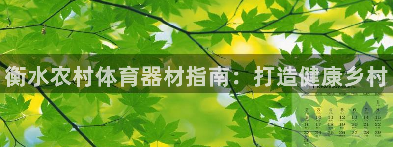 尊龙官网注册：衡水农村体育器材指南：打造健康乡村