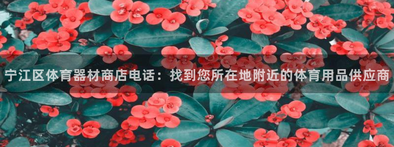 尊龙凯时凯发官网：宁江区体育器材商店电话：找到您所在