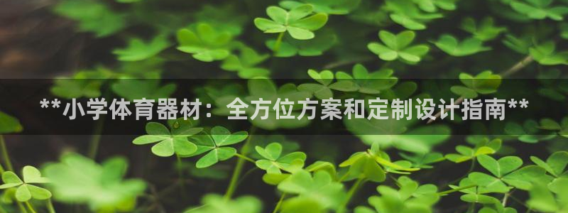 尊龙凯时城游戏官网：**小学体育器材：全方位方案和定