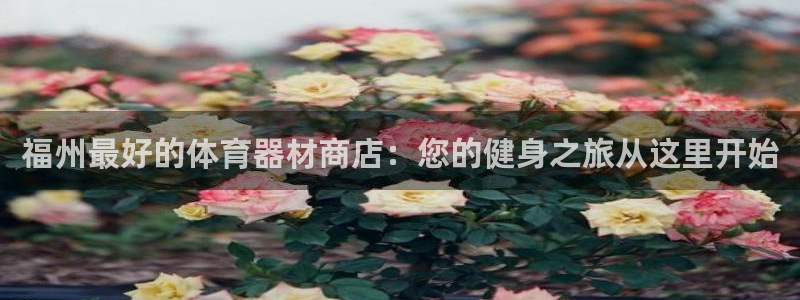 凯时是AG优质运营商：福州最好的体育器材商店：您的健