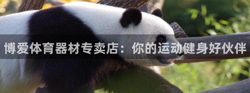 尊龙人生就是博送38：博爱体育器材专卖店：你的运动健