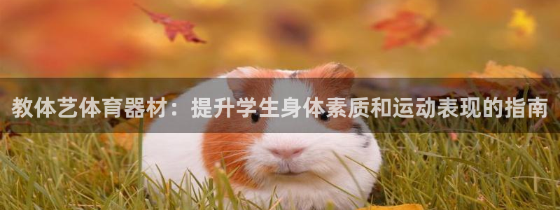 尊龙凯时出款：教体艺体育器材：提升学生身体素质和运动