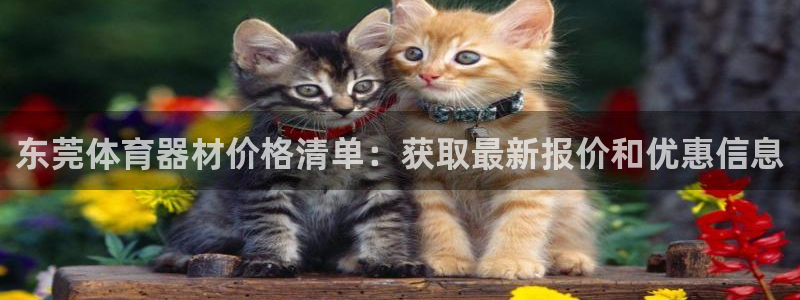 ag尊龙怎么样：东莞体育器材价格清单：获取最新报价和