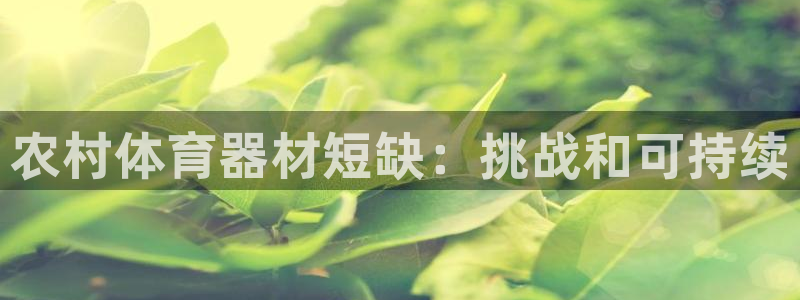 尊龙百度贴吧：农村体育器材短缺：挑战和可持续