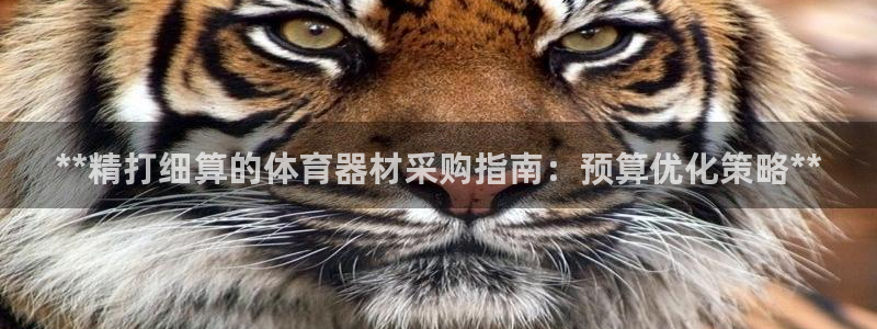 尊龙d88现金可来就送38：**精打细算的体育器材采