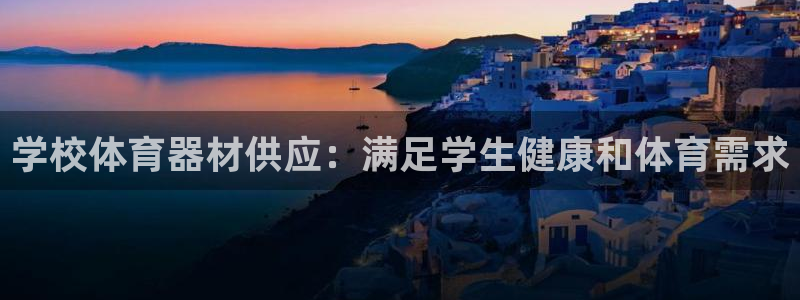 尊龙电子：学校体育器材供应：满足学生健康和体育需求
