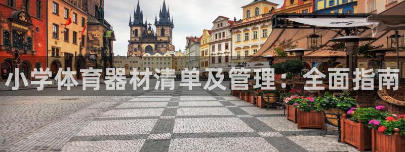 尊龙凯时登陆入口：小学体育器材清单及管理：全面指南