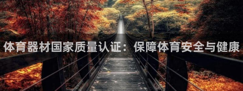 尊龙王t400：体育器材国家质量认证：保障体育安全与
