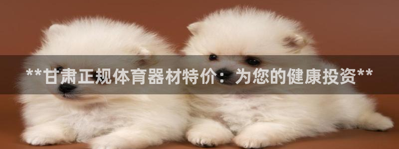 凯时国际app首页：**甘肃正规体育器材特价：为您的
