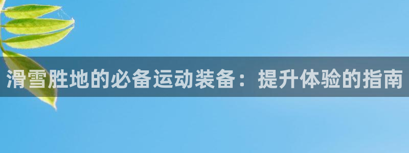 尊龙凯时·中国官方网站：滑雪胜地的必备运动装备：提升