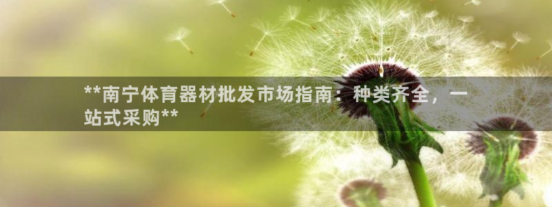 尊龙人生就是博AG：**南宁体育器材批发市场指南：种