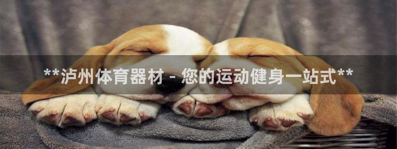 尊龙凯时人生就是搏z6com