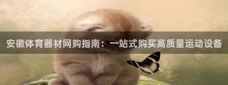 尊龙凯时ag旗舰：安徽体育器材网购指南：一站式购买高