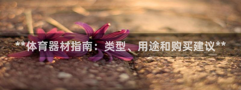 K66凯时国际平台官网