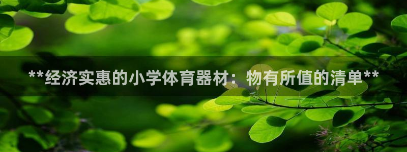 尊龙凯时开发：**经济实惠的小学体育器材：物有所值的