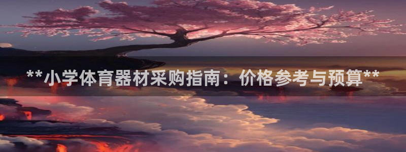 尊龙2020：**小学体育器材采购指南：价格参考与预