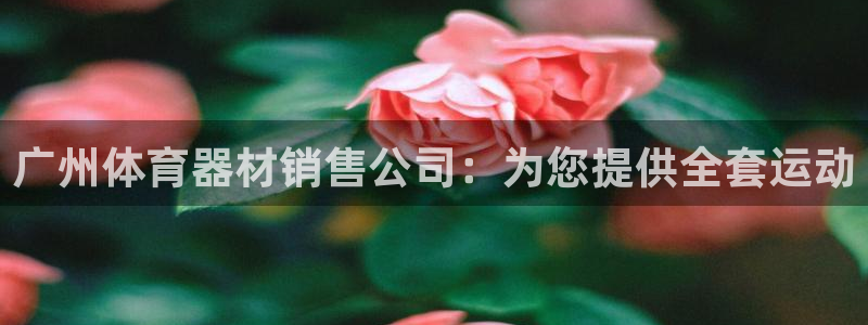 尊龙人生就是博ag旗舰厅：广州体育器材销售公司：为您