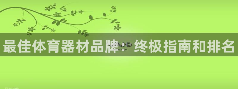 尊龙新版手机app下载：最佳体育器材品牌：终极指南和