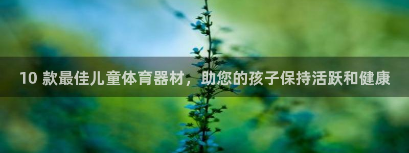 凯时kb88·中国官方网站：10 款最佳儿童体育器材
