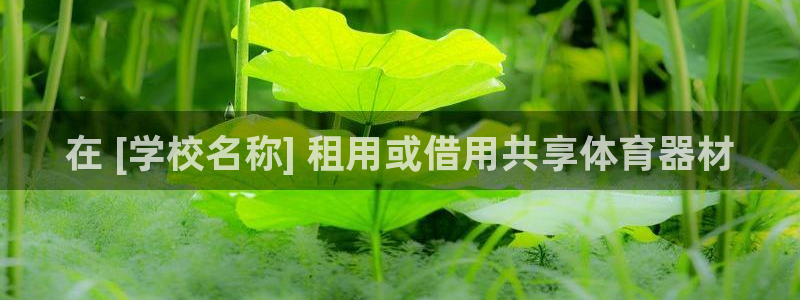 尊龙凯时人生就是博·(中国)：在 [学校名称] 租用